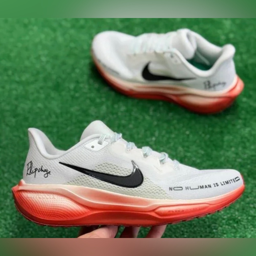 Nike x Eliud KipchogeAir Zoom Pegasus 41 HJ7037-100 Mens new